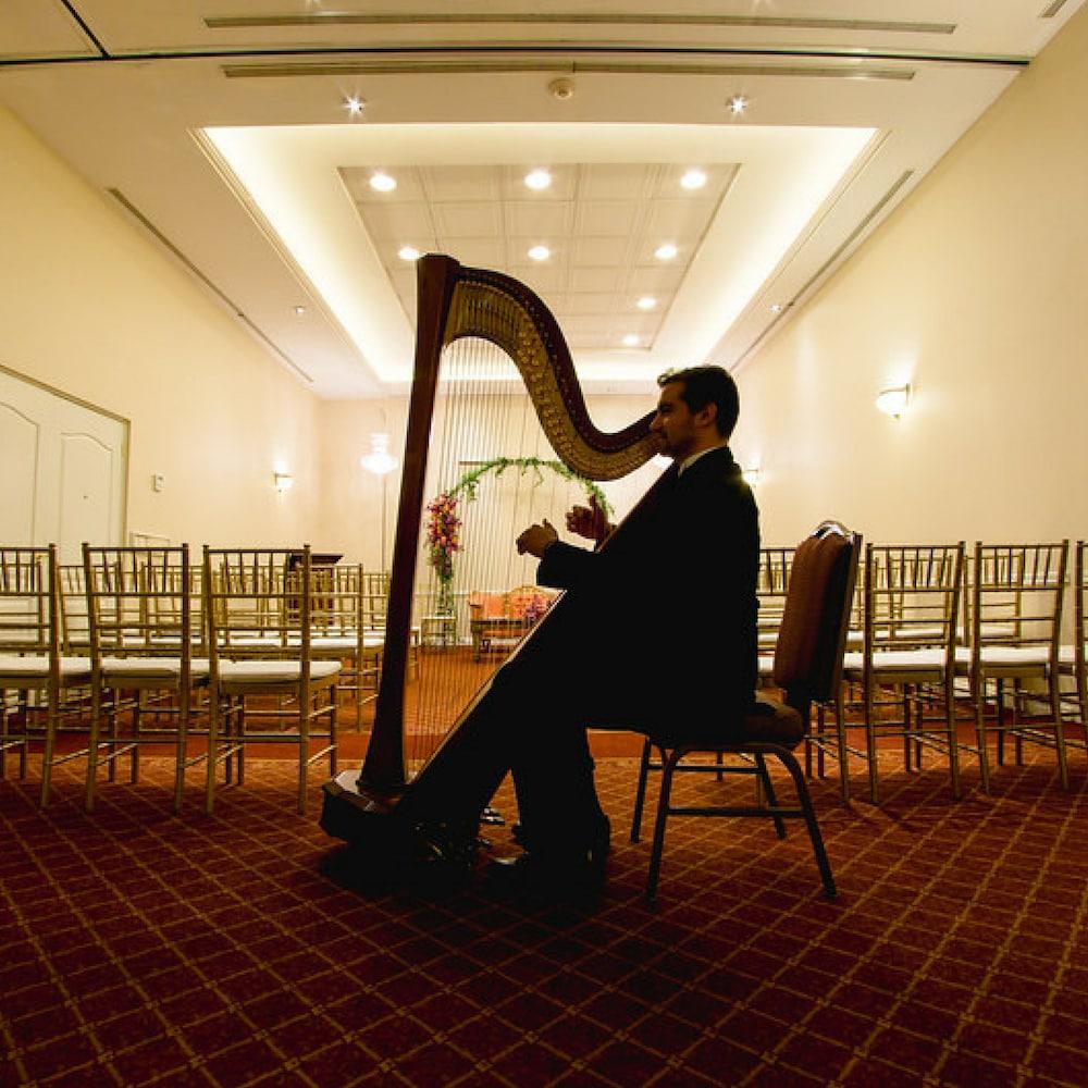 Safi Royal Luxury Valle San Pedro Garza Garcia Ngoại thất bức ảnh Harpist at a wedding