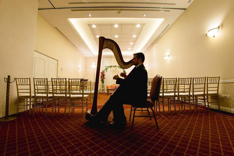 Safi Royal Luxury Valle San Pedro Garza Garcia Ngoại thất bức ảnh A harpist playing at a wedding
